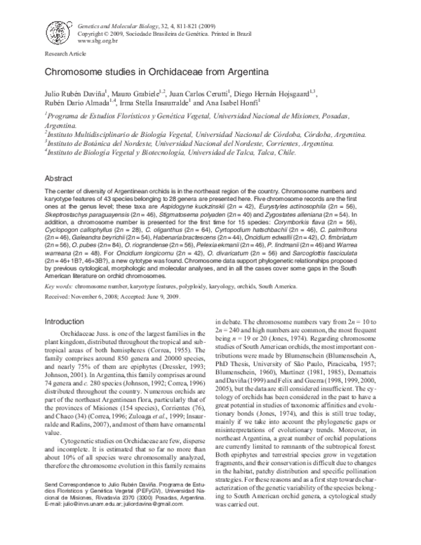 (PDF) Chromosome studies in Orchidaceae from Argentina