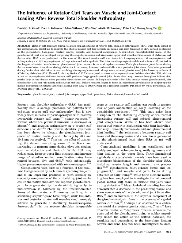 (PDF) The influence of rotator cuff tears on muscle and joint‐contact ...