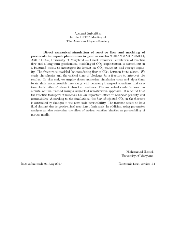 (PDF) Direct numerical simulation of reactive flow and modeling of pore ...