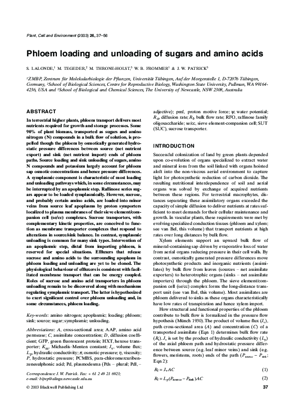 (PDF) Phloem loading and unloading of sugars and amino acids