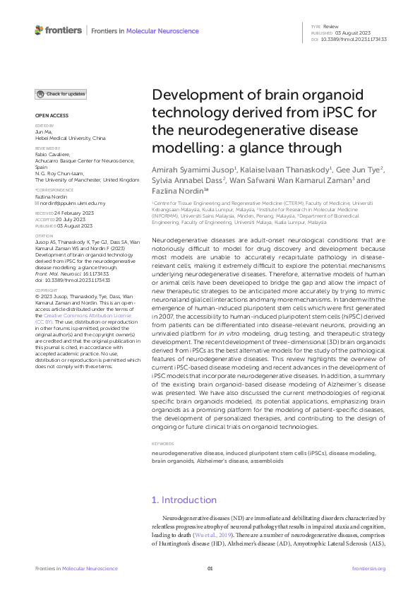 (PDF) Development of brain organoid technology derived from iPSC for ...