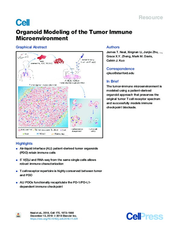 (PDF) Organoid Modeling of the Tumor Immune Microenvironment
