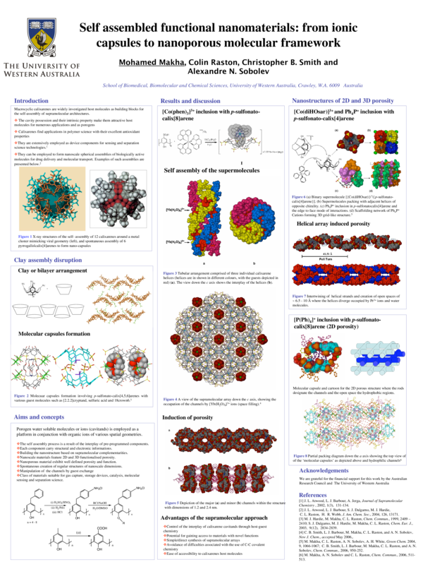 (PDF) Self assembled functional nanomaterials: from ionic capsules to ...