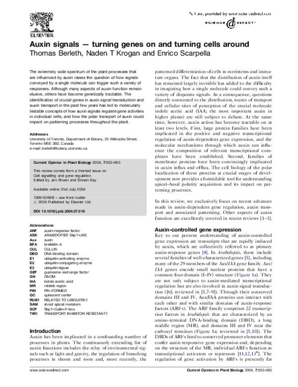 (PDF) Auxin signals — turning genes on and turning cells around