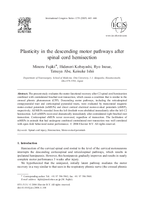 (PDF) Plasticity in the descending motor pathways after spinal cord ...