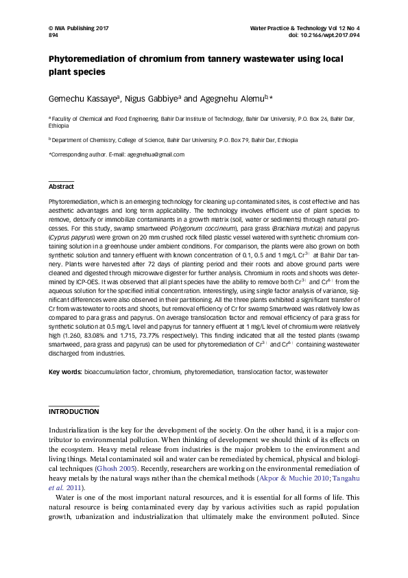 (PDF) Phytoremediation of chromium from tannery wastewater using local ...