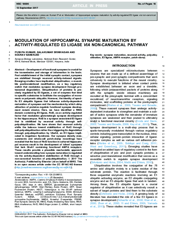 (PDF) Modulation of hippocampal synapse maturation by activity ...