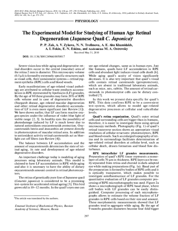 (PDF) The experimental model for studying of human age retinal ...