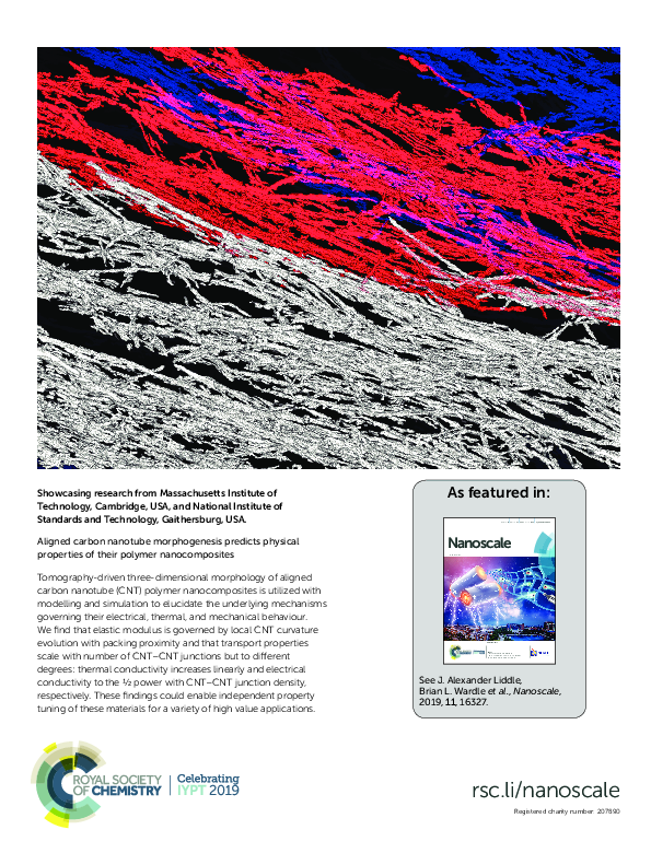 (PDF) Elastic Properties of Aligned Carbon Nanotube Polymer ...