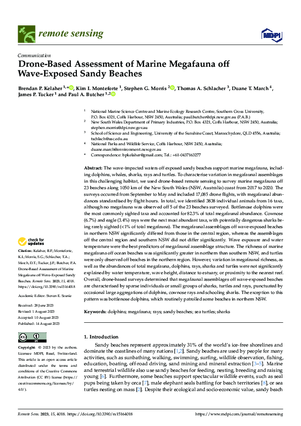 Drone-Based Assessment of Marine Megafauna off Wave-Exposed Sandy Beaches