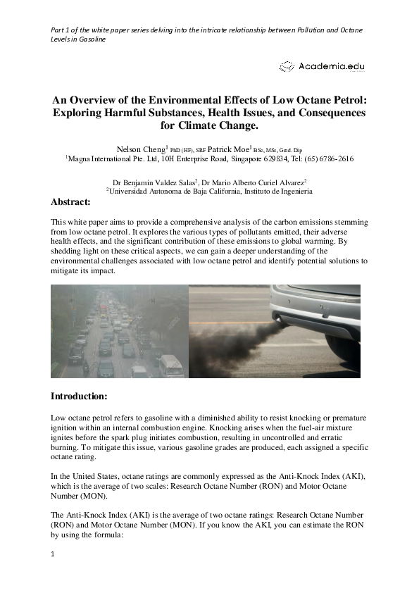 (PDF) An Overview of the Environmental Effects of Low Octane Petrol ...