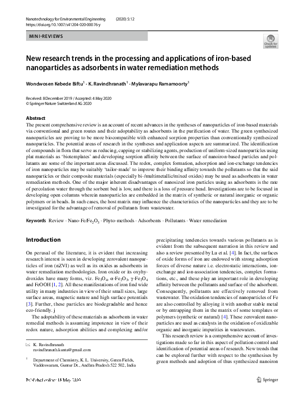 (PDF) New research trends in the processing and applications of iron ...
