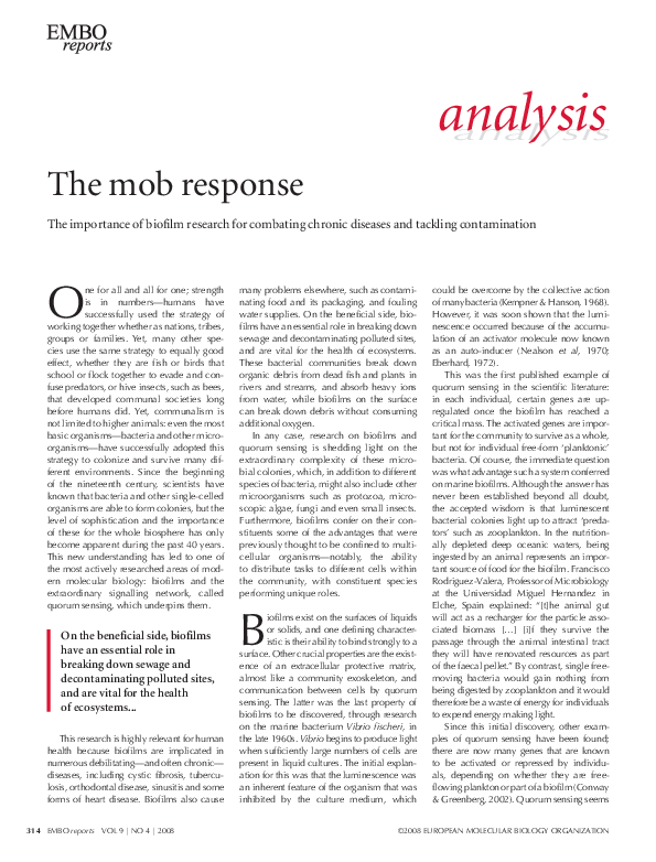(PDF) The mob response