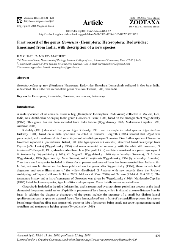 (PDF) First record of the genus Gomesius (Hemiptera: Heteroptera ...