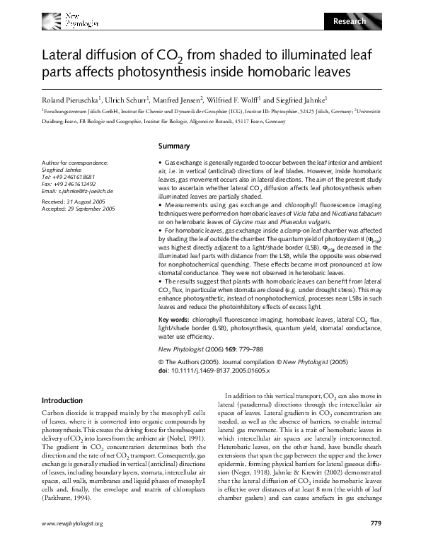 (PDF) Lateral diffusion of CO 2 from shaded to illuminated leaf parts ...