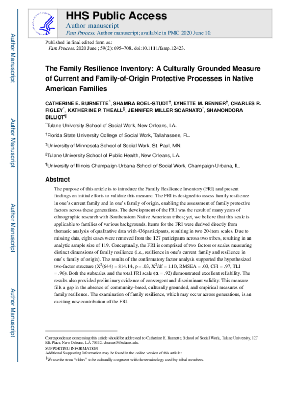(PDF) The Family Resilience Inventory: A Culturally Grounded Measure of ...
