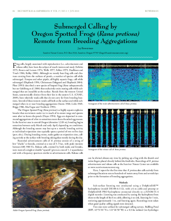 (PDF) Submerged Calling by Oregon Spotted Frogs (Rana pretiosa) Remote ...