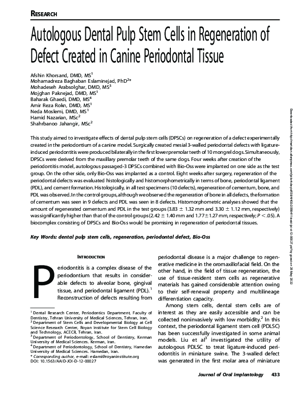 (PDF) Autologous Dental Pulp Stem Cells in Regeneration of Defect ...