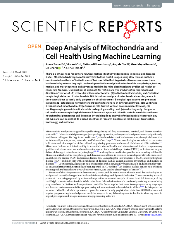 (PDF) Deep Analysis of Mitochondria and Cell Health Using Machine Learning