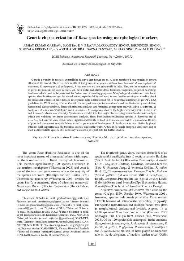(PDF) Genetic characterization of Rosa species using morphological markers