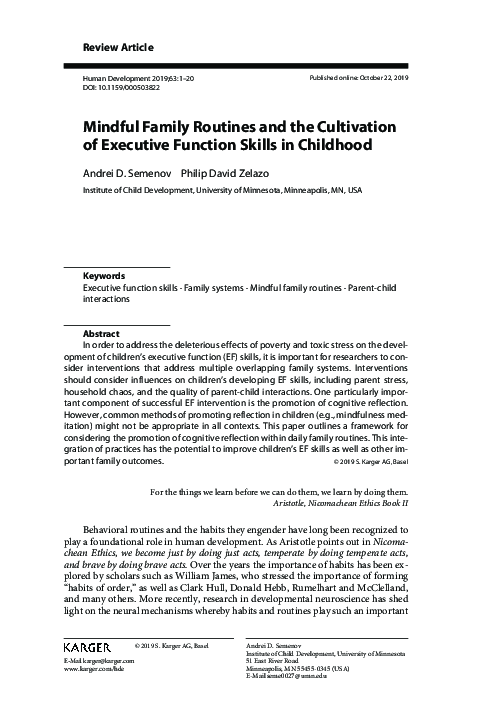(PDF) Executive Function and Occupational Routines Scale