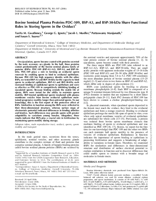 (PDF) Bovine Seminal Plasma Proteins PDC-109, BSP-A3, and BSP-30-kDa ...