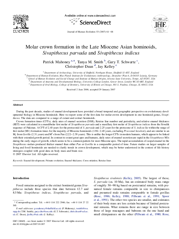 (PDF) Molar crown formation in the Late Miocene Asian hominoids ...