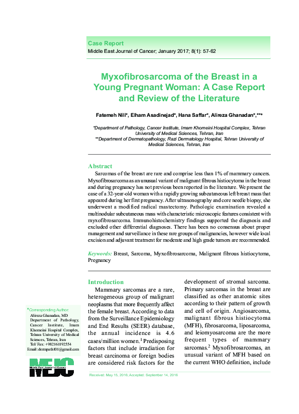 (PDF) Myxofibrosarcoma of the Breast in a Young Pregnant Woman: A Case ...