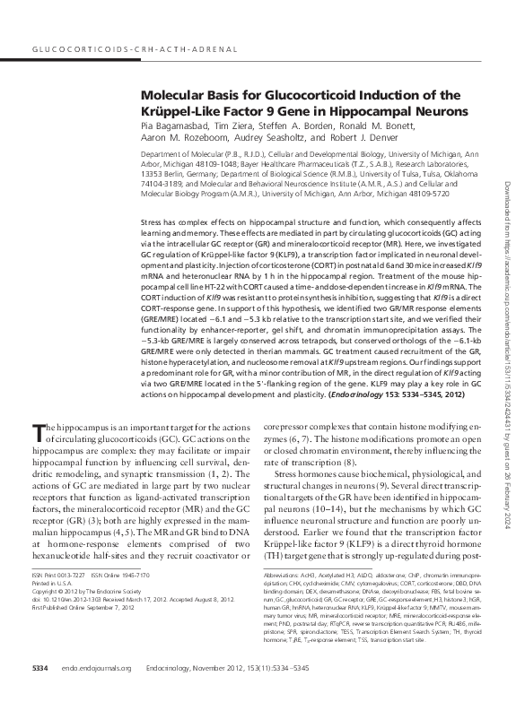(PDF) Molecular Basis for Glucocorticoid Induction of the Krüppel-Like ...