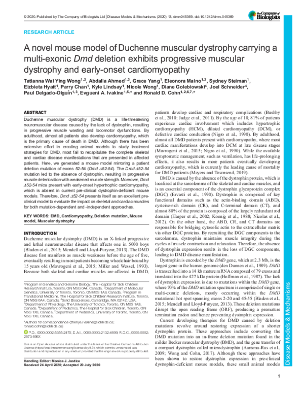 (PDF) A novel mouse model of Duchenne muscular dystrophy carrying a ...