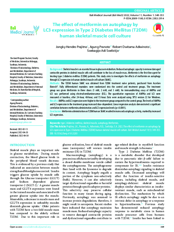 (PDF) The effect of metformin on autophagy by LC3 expression in Type 2 ...