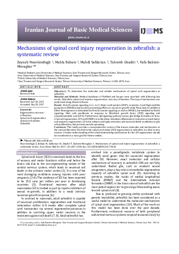 (PDF) Mechanisms of spinal cord injury regeneration in zebrafish: a ...