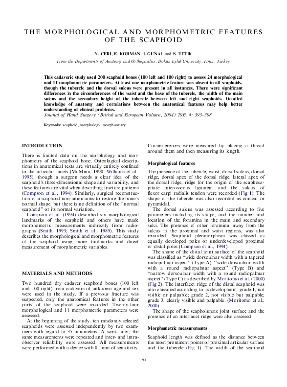 (PDF) The Morphological and Morphometric Features of the Scaphoid