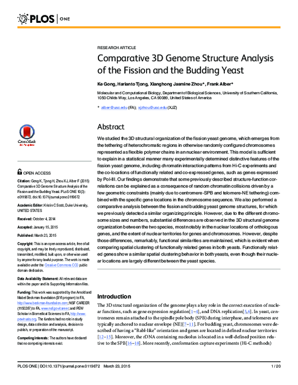 (PDF) Comparative 3D Genome Structure Analysis of the Fission and the ...