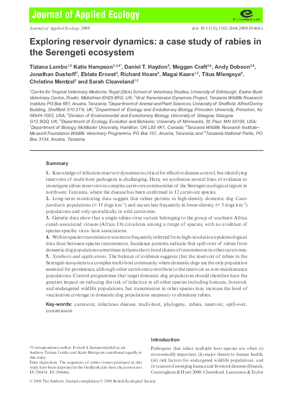 Rabies prevention image