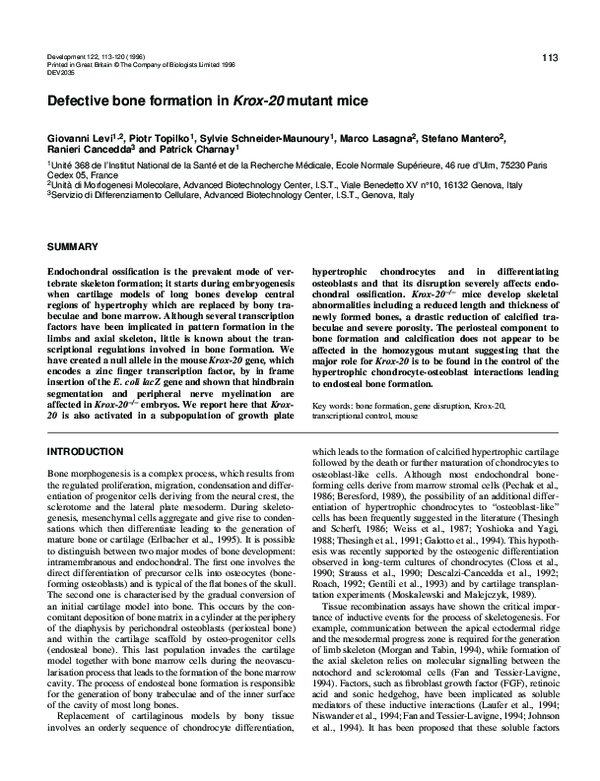 (PDF) Defective bone formation in Krox-20 mutant mice | Giovanni Levi ...