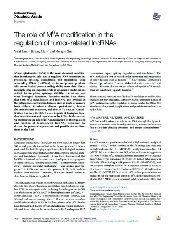 (PDF) The role of M6A modification in the regulation of tumor-related ...