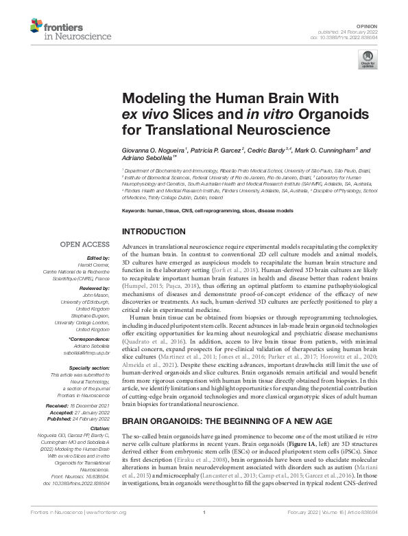 (PDF) Modeling the Human Brain With ex vivo Slices and in vitro ...