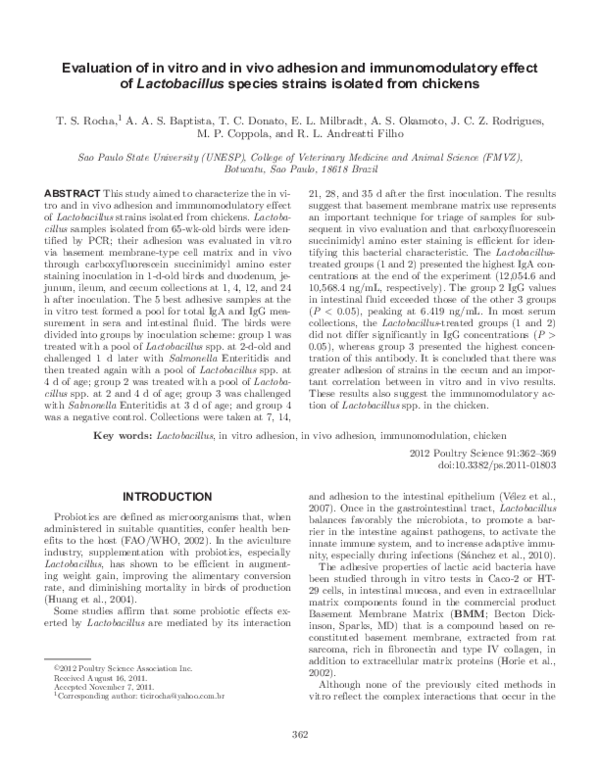 (PDF) Evaluation of in vitro and in vivo adhesion and immunomodulatory ...