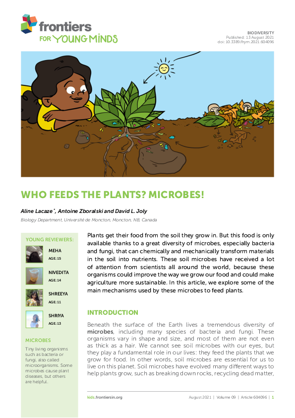 (PDF) Who Feeds The Plants? Microbes!