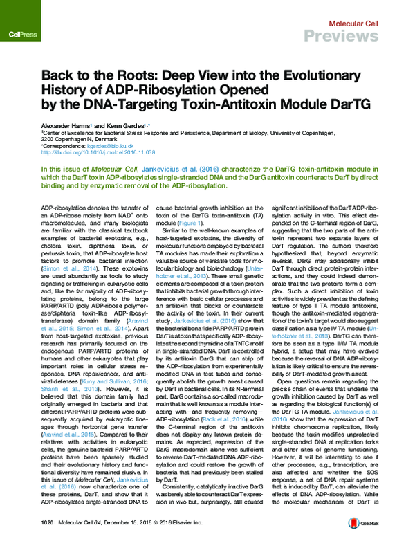 (PDF) Back to the Roots: Deep View into the Evolutionary History of ADP ...