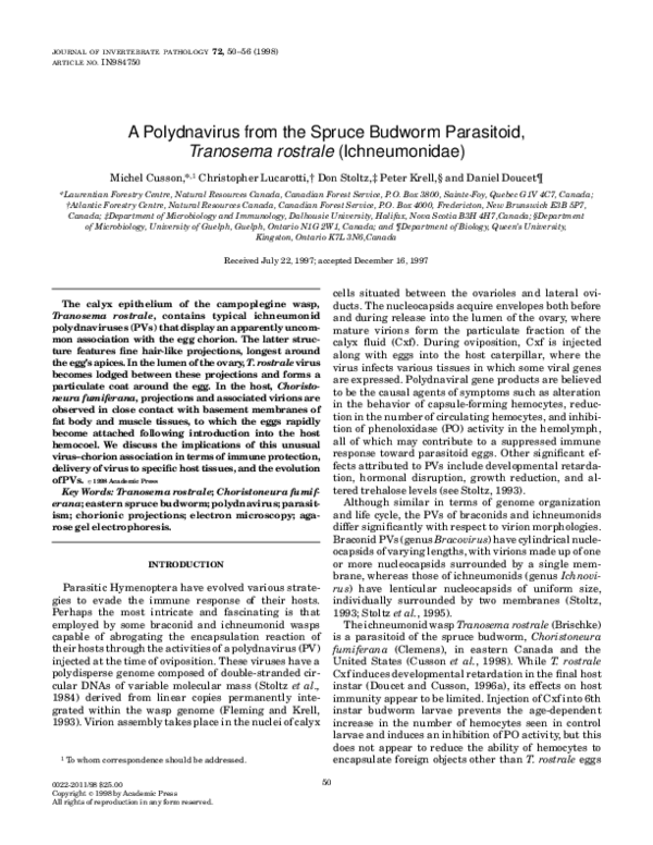(PDF) A Polydnavirus from the Spruce Budworm Parasitoid,Tranosema ...