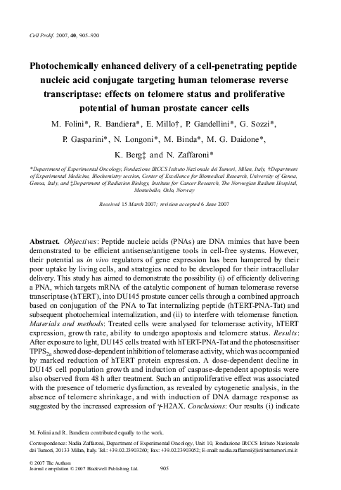 (PDF) Photochemically enhanced delivery of a cell-penetrating peptide ...