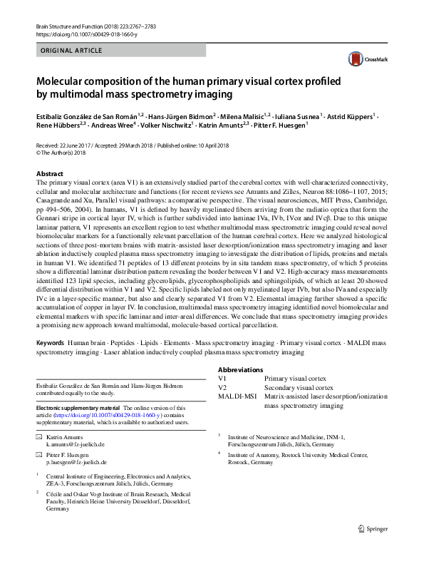 (PDF) Molecular composition of the human primary visual cortex profiled ...