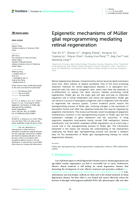(PDF) Epigenetic mechanisms of Müller glial reprogramming mediating ...