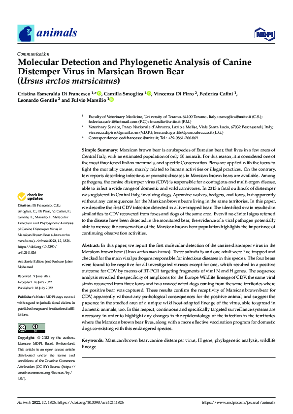 (PDF) Molecular Detection and Phylogenetic Analysis of Canine Distemper ...