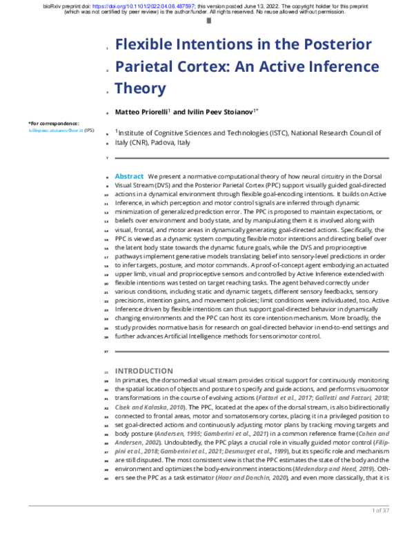 (PDF) Flexible Intentions: An Active Inference Theory