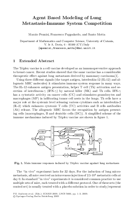 (PDF) Agent based modeling of lung metastasis-immune system competition
