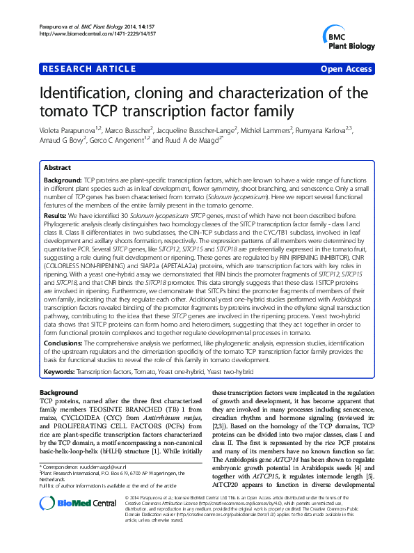 (PDF) Identification, cloning and characterization of the tomato TCP ...