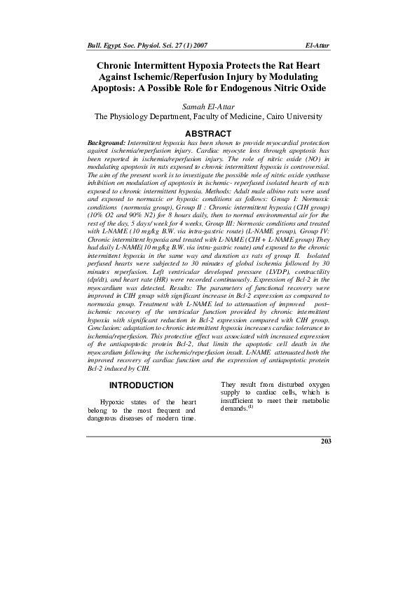 (PDF) Chronic Intermittent Hypoxia Protects the Rat Heart Against ...